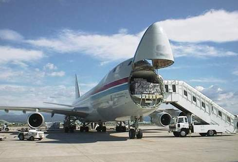 走空運(yùn)動(dòng)物的物流